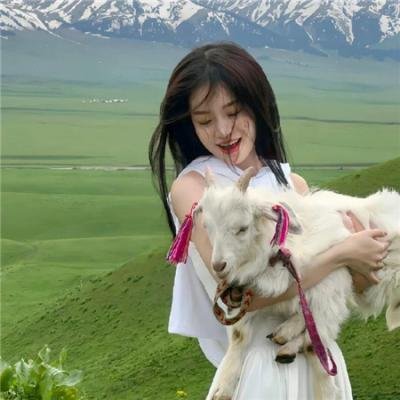 珍妮的必要性